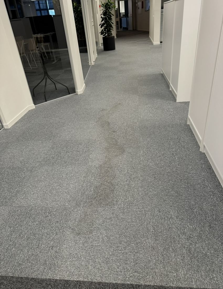 Före: korridor med heltäckningsmatta